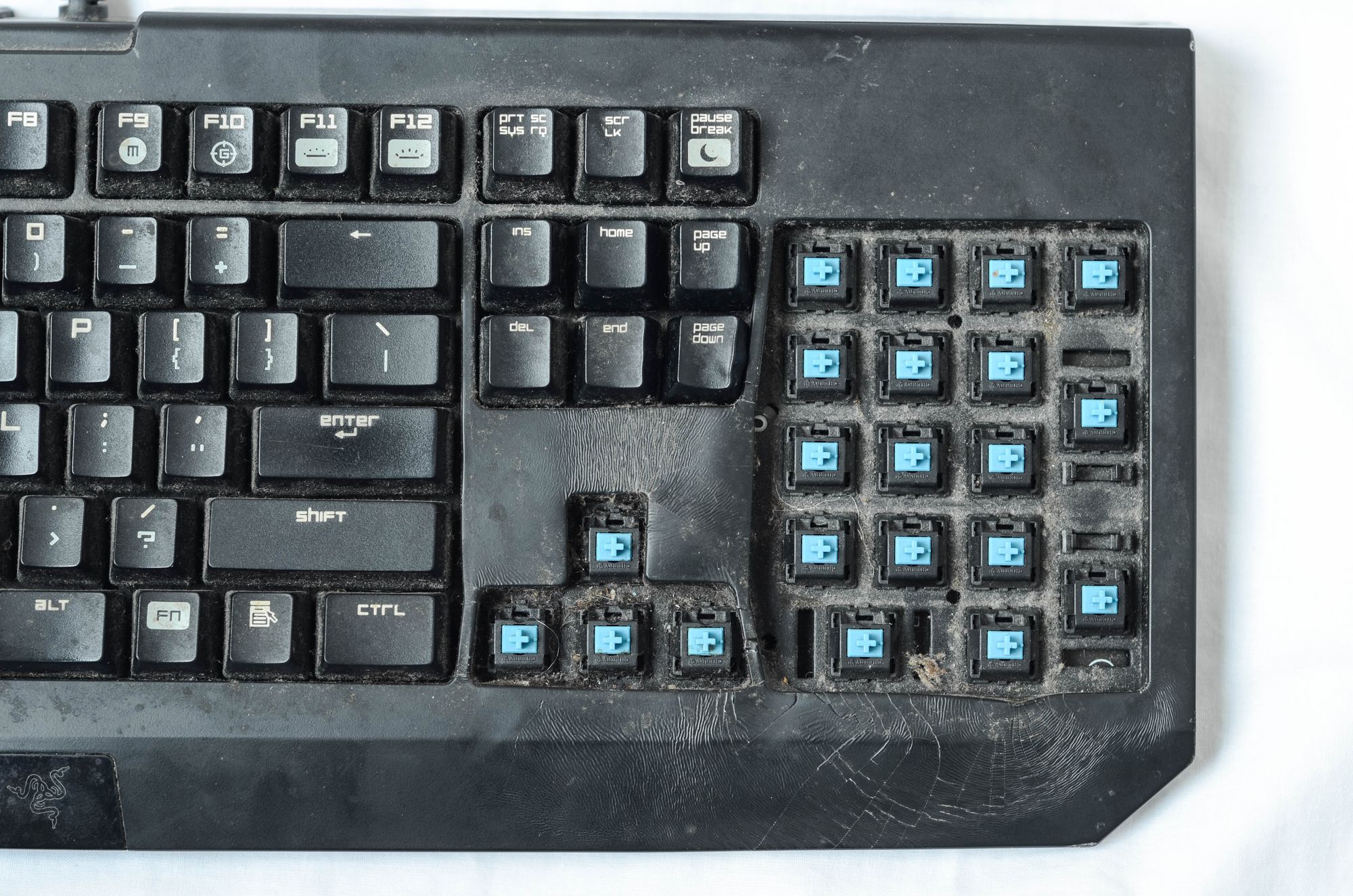 Razer BlackWidow 2013: from dustbin to desktop