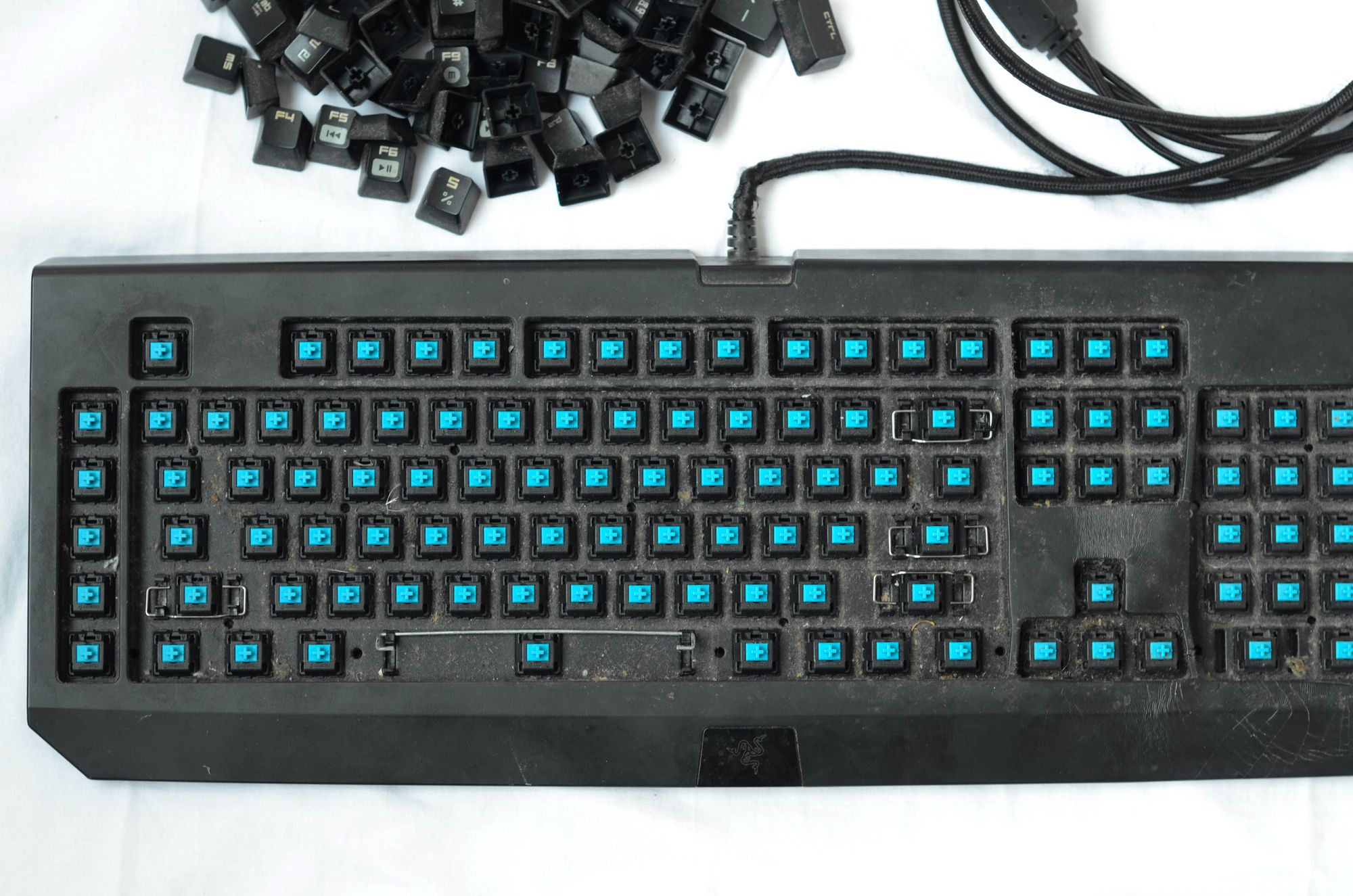 Razer BlackWidow 2013: from dustbin to desktop