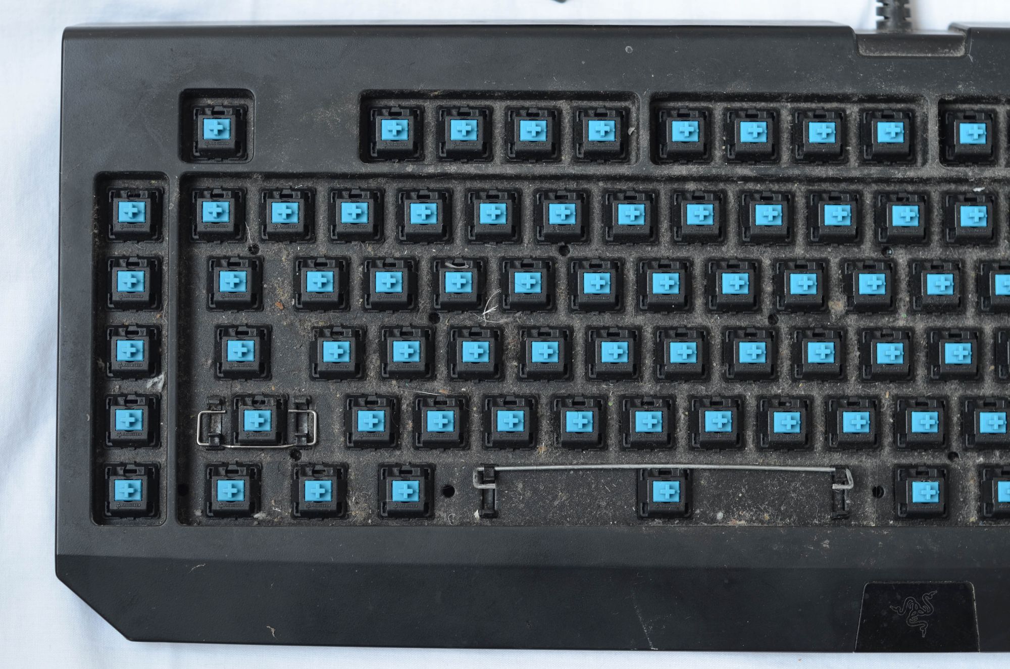 Razer BlackWidow 2013: from dustbin to desktop