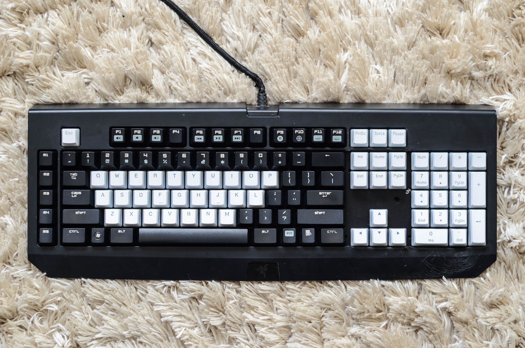 Razer BlackWidow 2013: from dustbin to desktop