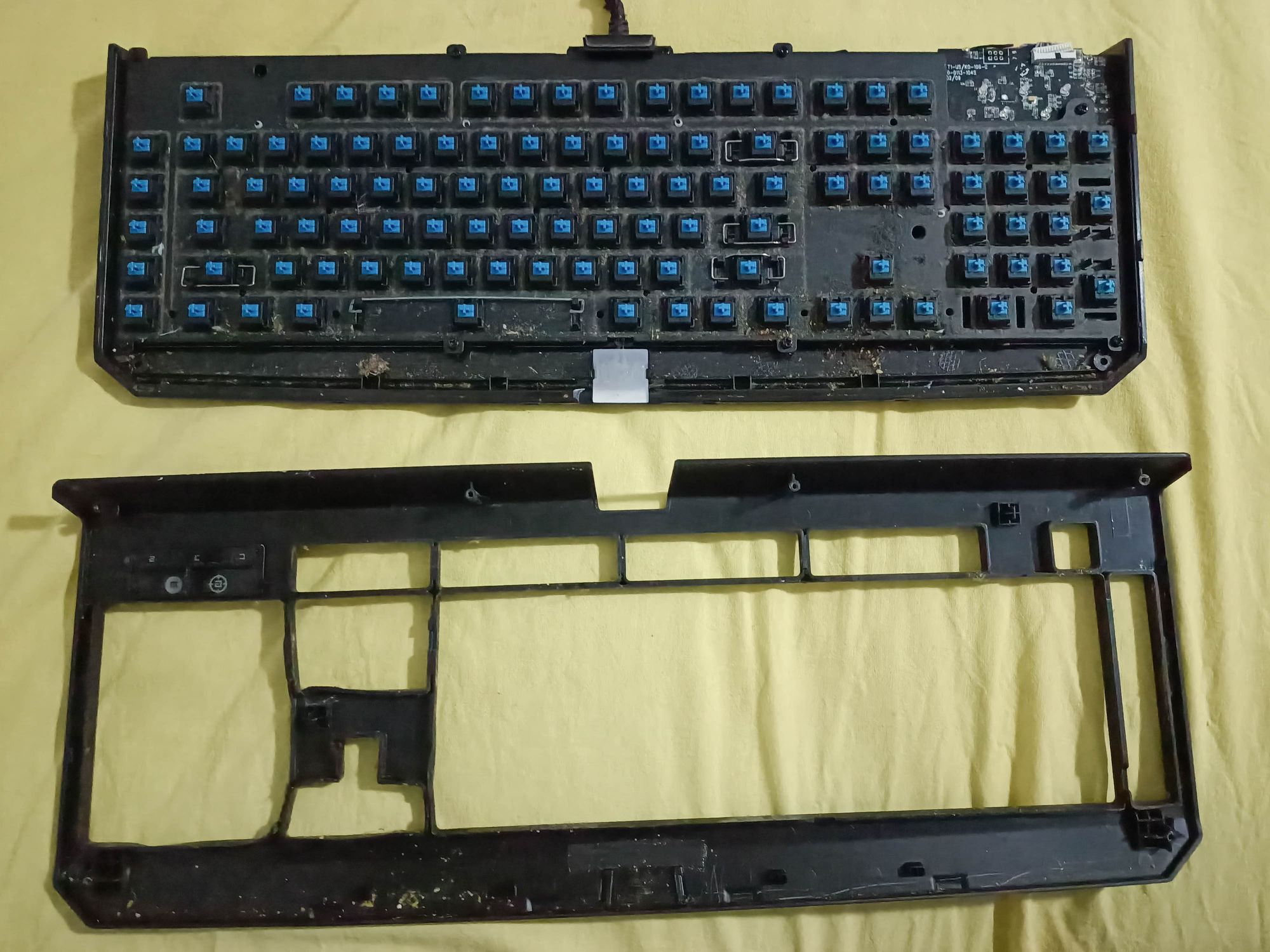 Razer BlackWidow 2013: from dustbin to desktop