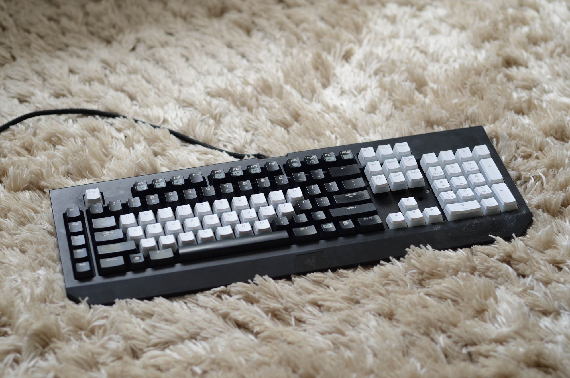 Razer BlackWidow 2013: from dustbin to desktop